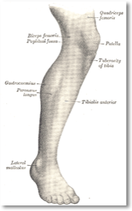 pastedgraphic_1-4_med