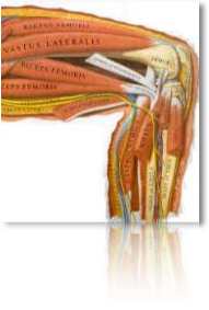 pastedgraphic_2-2_med