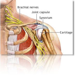 pastedgraphic_2-5_med